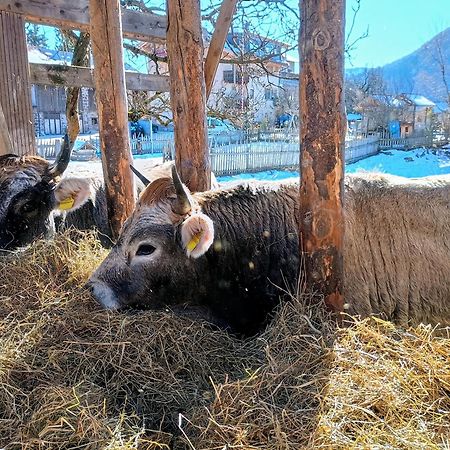 알디노 Koflhof Urlaub Auf Dem Bauernhof 빌라 외부 사진