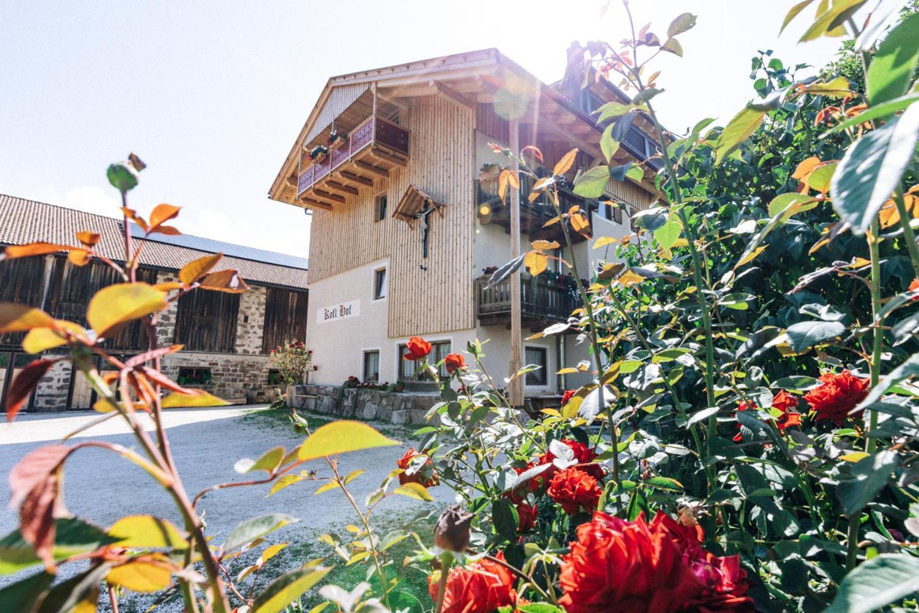 알디노 Koflhof Urlaub Auf Dem Bauernhof 빌라 외부 사진